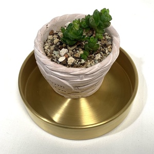 Small gold <b>tray</b> flower <b>plant</b> saucer for indoor - Product Image 2