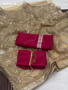 Top Quality Soft Mono Net with Embroidery Sequin-All Over work <b>Saree</b>-Glass Pipe Border <b>Blouse</b> Supplier from India Woman Fashion - Product Image 2