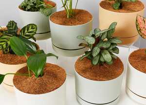 Bolsas de Cultivo de Plástico Negras de 20L con Orificios de Drenaje, Reutilizables y Desechables, para Jardín - Product Image 3