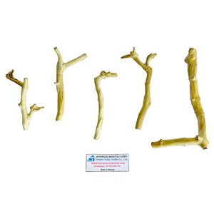 Productos en Tendencia 2026: Percha para Pájaros de Madera de Java, Soporte para Pájaros, Percha Grande para Jaula, Accesorios para Mascotas de Madera Natural - Product Image 4