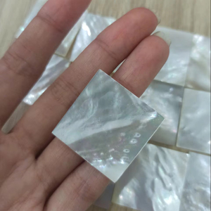 Éclats de nacre décoratifs pour la résine et la mosaïque - Product Image 1