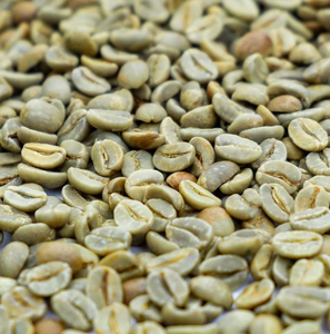 เมล็ดกาแฟเขียวคุณภาพสูง ออร์แกนิค บริการ OEM - Product Image 5