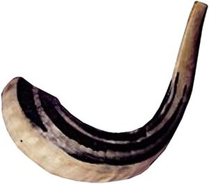 Cuerno de Shofar Natural de Carnero, Precio Accesible, Hecho a Mano, Cuerno Religioso Judío para Oración, Ceremonia y Uso Espiritual - Product Image 1