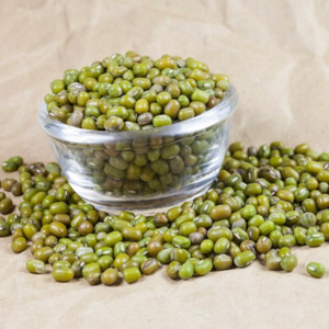 Frijoles Verdes Orgánicos de la India en Empaque a Granel para Tiendas de Comestibles Internacionales y Suministro al por Mayor - Product Image 6