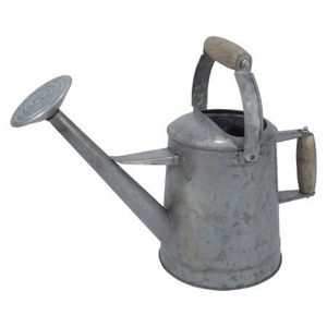 Arrosoir en acier galvanisé écologique pour plantes de jardin intérieures et extérieures, arrosoir en métal avec pomme de douche amovible - Product Image 6