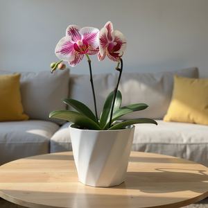 Mini pot de fleur en plastique jardinière de table légère et élégante pour cuisine chambre et espaces de vie - Product Image 1