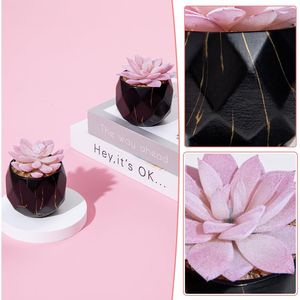 Piante Succulente Artificiali Carine con 2 Vasi in Ceramica Nera per Decorazione in Ufficio, Bagno, Cucina o Camera da Letto - Product Image 2