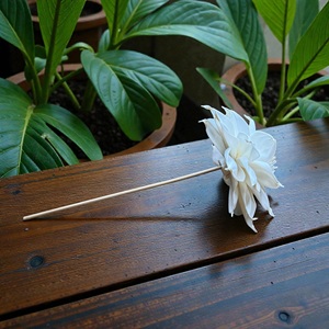 ดอกไม้โซล่าวู้ด VADEE SOLA WOOD FLOWER ทำมือ ดอกไม้โซล่าวู้ดสีงาช้าง ขนาด 8.5 ซม. ทำจากเส้นใยพืชเซสบานียา จากประเทศไทย - Product Image 6