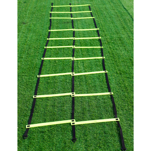 Double Agility Flat <b>Ladder</b> - Product Image 2