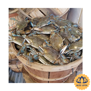 สินค้าขายดี |   ถังไม้ใส่ปู ตะกร้าไม้แบบเรียบง่าย สำหรับร้านอาหารทะเล โชว์ผลิตผลสดจากฟาร์มในเวียดนาม - Product Image 1