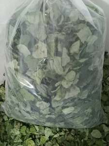 Feuilles de Bai Ya Nang séchées du Vietnam en stock, sachets sous vide de 0,71 oz et 2 oz pour la cuisine traditionnelle - Product Image 1