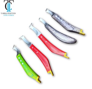 Cuchillo para Pezuñas de Caballo, Acero Inoxidable, Grado Profesional, Herramienta para Recortar Pezuñas, Equipo Veterinario Equino - Product Image 4