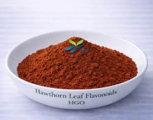 HGO suministro directo de fábrica extracto de hoja de espino natural puro (Crataegus pinnatifida) flavonoides de hoja de espino 5% - 80% - Product Image 1
