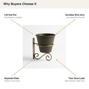 Handmade Olive Brass 16cm Iron <b>Wall</b> Planter for Home <b>Decor</b> & Weddings - Product Image 5