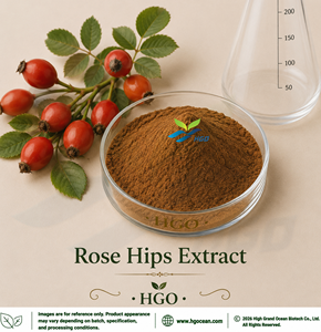 Suministro Directo de Fábrica HGO de Extracto Puro de Rosa Mosqueta (Rosa canina L.) (Grado Alimenticio) 4:1 5:1 10:1 20:1 100:1 200:1 (Relación de Extracción) - Product Image 1