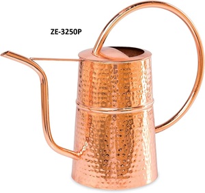 Premium Brass Watering Can Luxury Indoor <b>Gardening</b> EquipmentModern Minimalist Iron Watering Can for Indoor Plant Lovers Stylish - Product Image 1