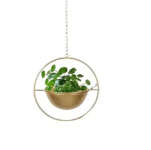 Modern Hanging Metal <b>Plant</b> Pot Circular Design Chrome Plated Indoor Outdoor Use Flower Planter Minimalist Style - Product Image 1