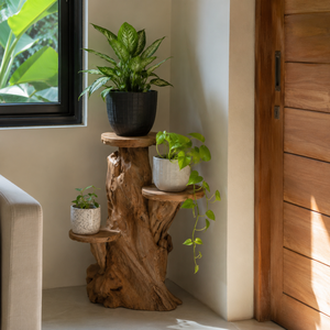 ARTERRA Support de Présentation en Bois Massif Artisanal Naturel Rustique en Racine de Teck Bio Premium pour Décoration Intérieure/Extérieure - Idéal Diwali - Product Image 3