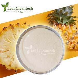 Bulk Quantity Supplier of Good Quality Bromelain <b>Enzyme</b> Powder From Bangalore, Karnataka, India - Product Image 3