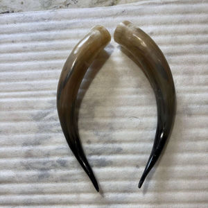 Par de Cuernos de Búfalo Pulidos para Decoración de Pared, Diseño Art Deco, Grandes de 27 a 35 Pulgadas, para Bodas, Cumpleaños, Aniversarios - Product Image 1