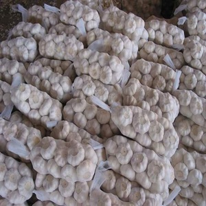 Ail Rouge de Haute Qualité, Ail Blanc Pur 5.0 cm, 6 cm, 5.5 cm, 4.5 cm, 6.0 cm et plus, en Gros, Fournisseur d'Ail - Product Image 4