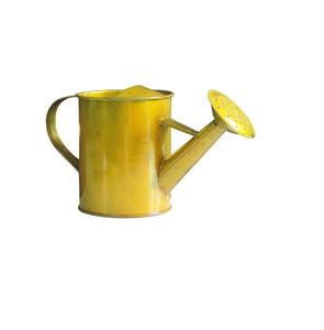 Arrosoir en métal design pour une utilisation décorative et fonctionnelle, idéal pour arroser les fleurs, les herbes et les petites plantes - Product Image 1