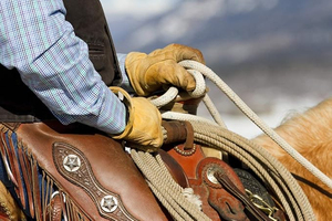 Gants de travail pour hommes 100% Laine à carreaux, compatibles écran tactile, avec détection par aiguille, toutes saisons, écologiques, décontractés, longueur opéra, pour la conduite et l'agriculture - Product Image 4