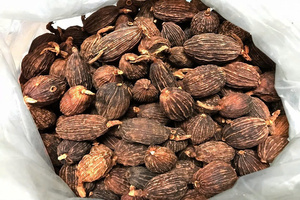 Cardamome noire séchée entière, épice à arôme intense, ingrédient végétal brut pour la cuisine et l'industrie alimentaire - Product Image 3