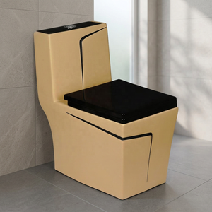 WC monobloc en céramique moderne du Gujarat avec abattant hydraulique et raccords, chasse d'eau double, pour usage extérieur - Product Image 4