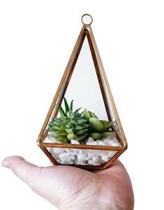 Terrario de Metal y Vidrio Personalizado en Oro Rosa, Moderno Macetero de Vidrio para Plantas de Interior, Suculentas, Plantas Aéreas y Terrarios DIY - Product Image 2