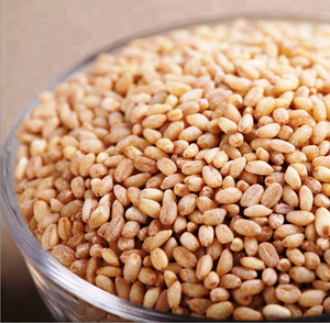 Blé dur de qualité supérieure en vrac pour l'exportation, qualité alimentaire premium, stock disponible pour les acheteurs mondiaux - Product Image 1