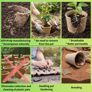 Superior Quality seedling <b>tray</b> recycled paper high quality seedling <b>tray</b> for export - Product Image 4