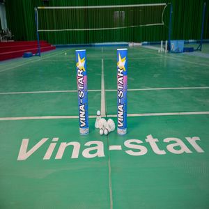 Wholesale VinaStar Premium Grade 1 Badminton Shuttlecock <b>Top</b> Quality Goose <b>Feather</b> for International Match Standard - Product Image 3