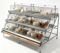 Cage à poulets à étages de la marque RETON, capacité de 128 oiseaux, en stock