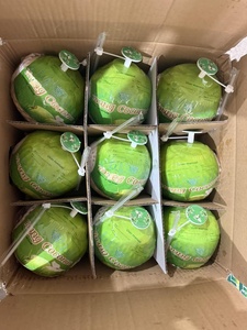 Cocos Semidescascarillados Premium y Cocos Jóvenes Frescos, Fruta con Alto Contenido de Hidratación, Ofertas al por Mayor - Product Image 4