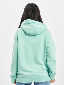 Sudadera con Capucha Verde Menta para Mujer, Estilo Casual, Color Sólido, 100% Algodón Felpa, Corte Regular, con Bolsillos Delanteros, para Otoño - Product Image 3