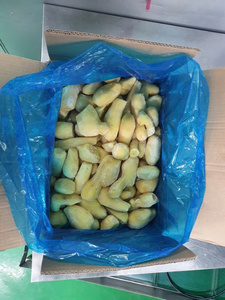 ขิงเวียดนามแช่แข็งคุณภาพพรีเมียม ราคาถูก ขายดี มาตรฐานสูง จำหน่ายจำนวนมาก - Product Image 3