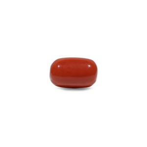 Natural Red Coral Oval Cabochon Loose Gemstone 11.7 Carat Certified Wholesale - Product Image 1