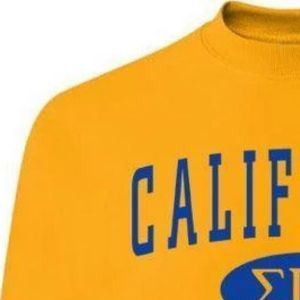 เสื้อสเวตเชิ้ต Sigma Gamma Rho สีทองสำหรับผู้หญิง ลายกรีก ออกแบบด้วยตัวอักษรและกราฟิกของชมรม พร้อมปักชื่อชมรมแบบกำหนดเอง - Product Image 6