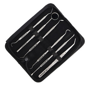 Kit d'étudiant en dentisterie, 6 pièces, ensemble d'outils d'hygiène dentaire en acier inoxydable, instruments professionnels de soins bucco-dentaires pour l'élimination de la plaque dentaire et du tartre - Product Image 6