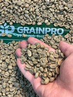 Meilleures ventes Grains de café vert du Vietnam Robusta Arabica Haricots bruts Prix compétitif Sac d'emballage Vente en gros Prêt pour l'importation Navire