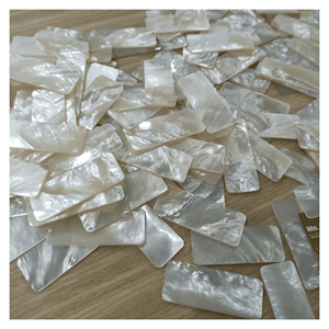 Nácar procedente de conchas para proyectos de incrustaciones en muebles, artesanía y producción de decoración, hecho en Vietnam. - Product Image 1