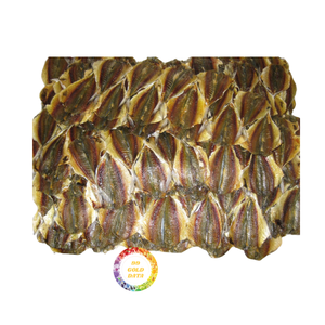 แถบสีเหลืองแห้งมีความชื้นสูง <20% - Product Image 4