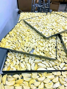 Durian lyophilisé Offre spéciale 2026 Meilleur prix 100% pulpe de durian Haute qualité Ingrédient pour mélange de yaourt du Vietnam Goût exotique - Product Image 4