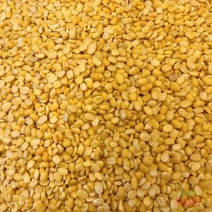 High Quality Organic Mung <b>Bean</b> <b>Vigna</b> Radiata Whole Green Gram Triple Cleaned Low Moisture Wholesale Export Bulk Supply Available - Product Image 1