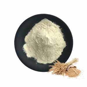 Gluten de Trigo Vital de Primera Calidad para Exportación al por Mayor, Grado Alimenticio, Disponible en Stock para Compradores Globales - Product Image 4