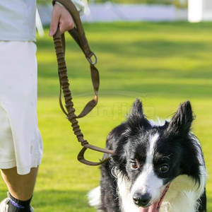 Laisse légère pour animaux de compagnie avec poignée souple, matériau durable et conception anti-emmêlement pour les promenades quotidiennes et les séances d'entraînement - Product Image 5