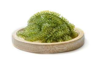 Algues vertes fraîches à la vapeur, type caviar, 10-20 cm, emballage réfrigéré en bol, riches en humidité - Product Image 2