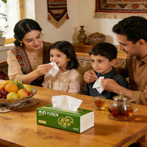 Papier Mouchoir en Gros Emballé <span class=keywords><strong>pour</strong></span> l'Asie <span class=keywords><strong>Centrale</strong></span> - Ultra Doux, Durable, Logo Personnalisé, Faible MOQ, Expédition à Dushanbe - Product Image 6