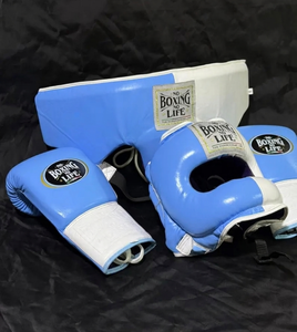 No Boxing No Life Premium Quality Cowhide Leather <b>Laced</b> MMA Gloves Training Boxing Kit with Head & Groin Guards Customizable - Product Image 2
